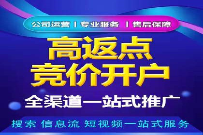 竞价推广实战：案例分析行业领军企业的成功之道